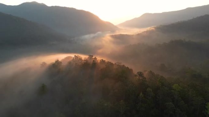 空中拍摄的薄雾与绿色森林日出时间在早晨