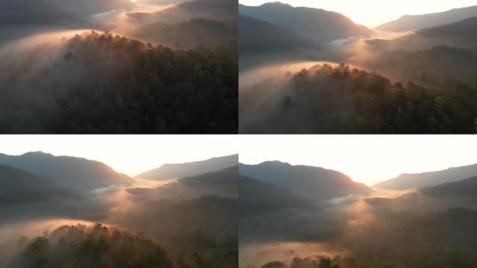 空中拍摄的薄雾与绿色森林日出时间在早晨