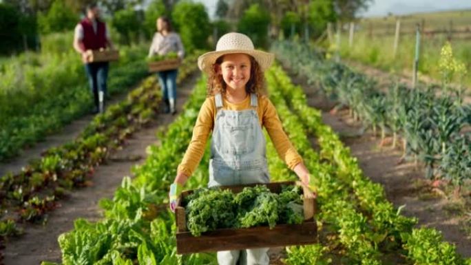 小女孩，农场和农业在绿色收获，以实现可持续性，有机和自然生产。在农村可持续农业中种植农作物的儿童肖像