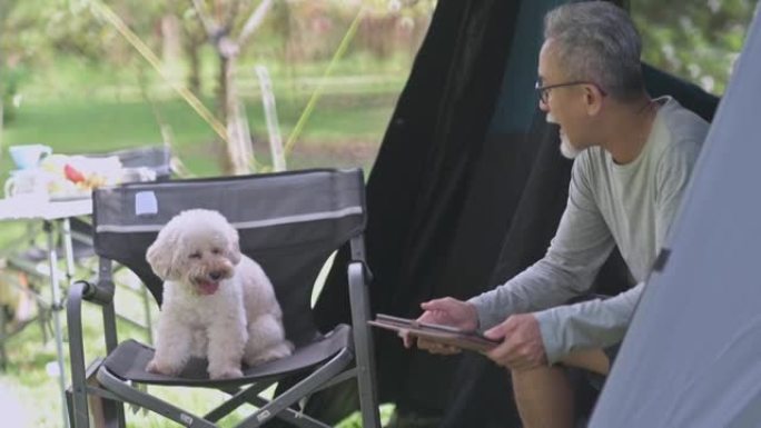 亚洲中国高级男子早上和他的玩具贵宾犬伴侣在野营椅上使用数字平板电脑
