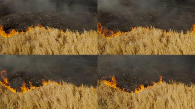 气候紧急情况。干旱和气候变化导致的南部非洲草地大火的空中特写