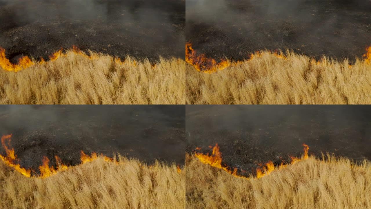 气候紧急情况。干旱和气候变化导致的南部非洲草地大火的空中特写