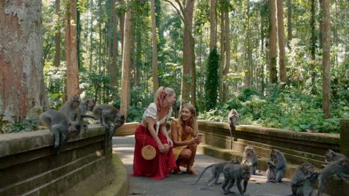 两名妇女使用智能手机在森林动物园为猴子拍照女孩朋友在手机社交媒体上分享旅行冒险发现印度尼西亚巴厘岛