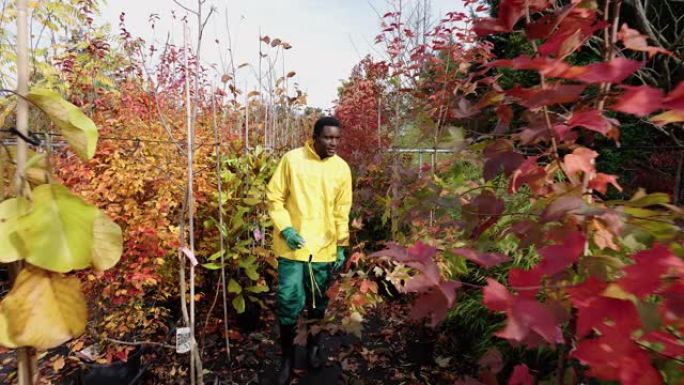 年轻的非洲工人走在花园中心的格子间
