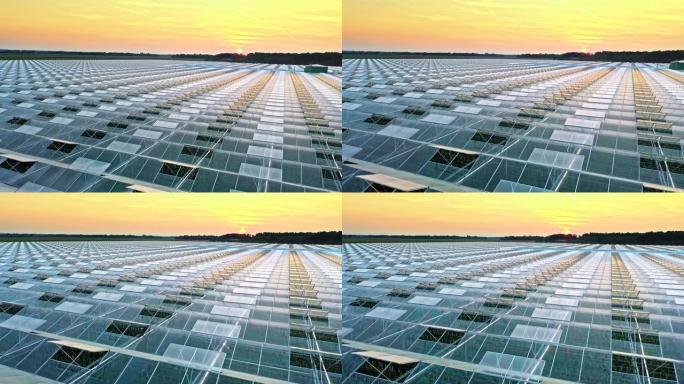 日落时分的乡村空中大型玻璃温室