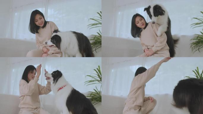 亚洲女动物训练师在舒适的家中与她聪明开朗的宠物玩耍。