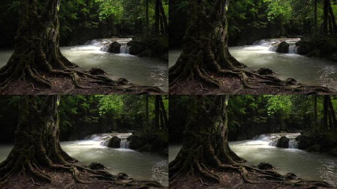 热带雨林中瀑布的慢动作