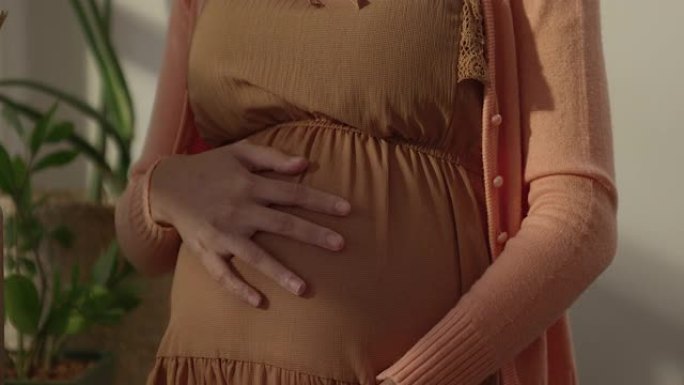 一位怀孕的亚洲妇女高兴地站在窗边抚摸着她的肚子。传达的爱和喜悦，将有婴儿睁开眼睛，看到阳光照在侧面拍