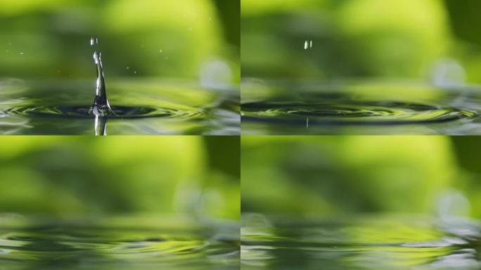 液滴的慢动作镜头落在水面上。水溅。散焦绿叶背景