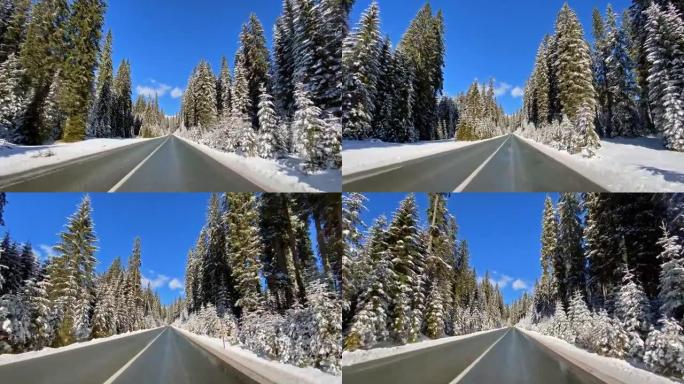 在白雪皑皑的森林中的冬季道路上行驶