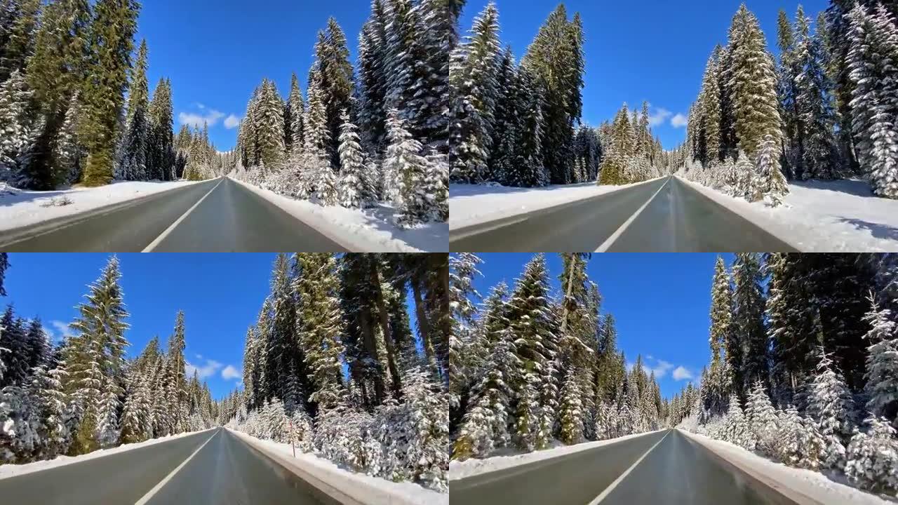 在白雪皑皑的森林中的冬季道路上行驶