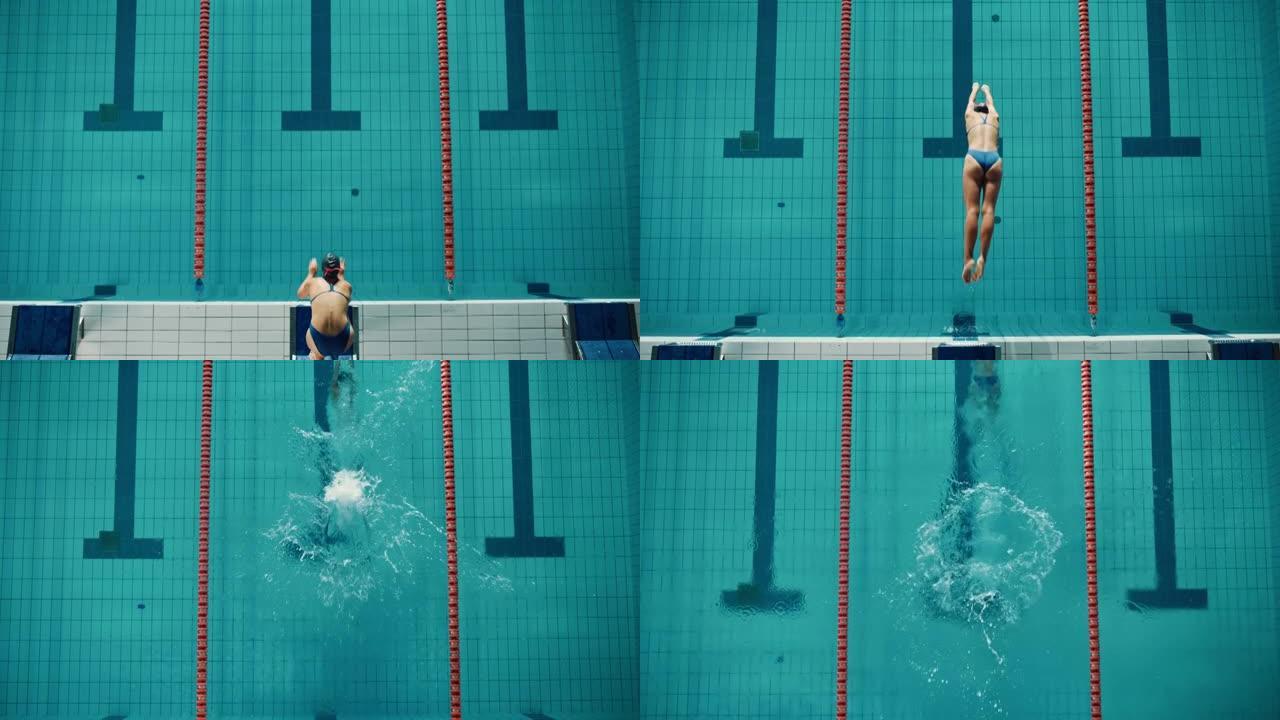 空中俯视图: 美丽的女游泳运动员在游泳池潜水。职业运动员优雅地跳跃。决心赢得冠军的人训练。具有时尚色