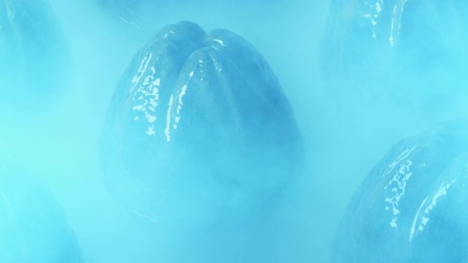 外星蛋在寒冷的环境中吹雾