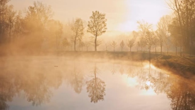 美丽的风景，湖泊和树木被雾覆盖