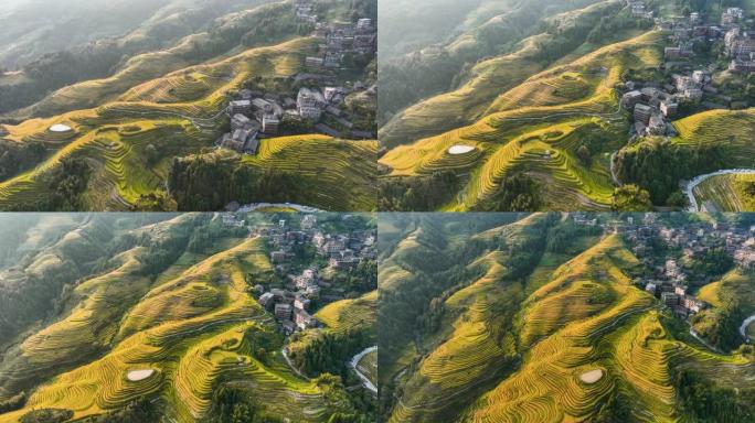 龙脊台秋收时节农田