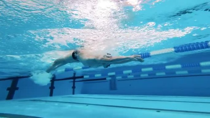 运动员游泳蝴蝶。水下视图。运动概念。