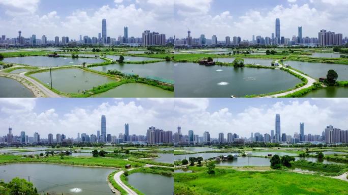 香港边境乡村绿地景观