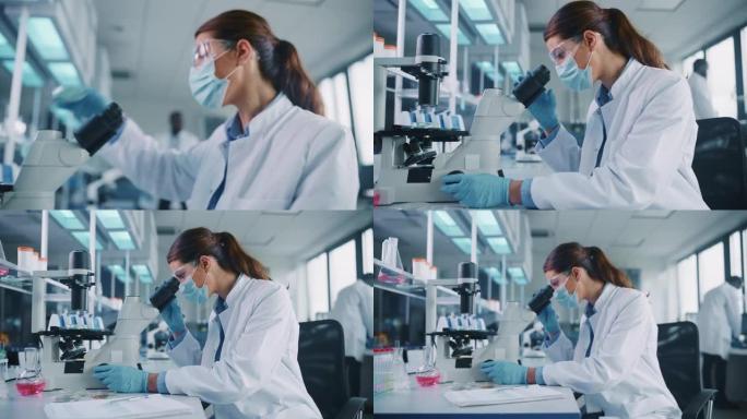 一位女科学家将带有转基因样品化学物质的培养皿放在显微镜下的特写镜头。用技术设备在现代实验室工作的微生