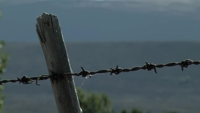 阿根廷巴塔哥尼亚内乌肯省乡村的生锈的倒钩铁丝网。特写。