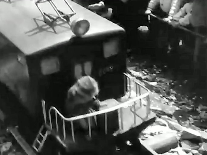 1949年日本 动物园猴子表演