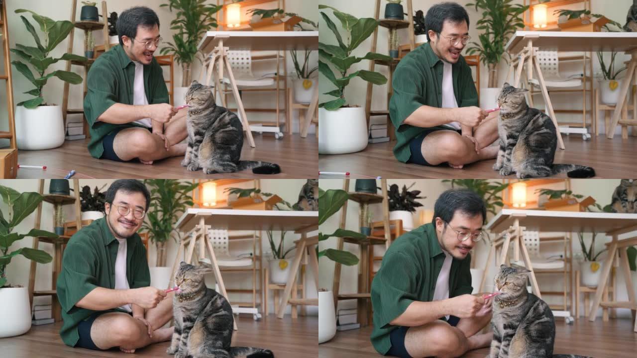 Asian guy即将与一只可爱的猫打开订阅框。