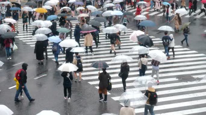 下雨天东京的过街撑伞行人忙碌