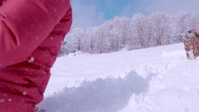 慢动作开朗的女士在可爱的狗的陪伴下在新鲜的雪地上滑雪