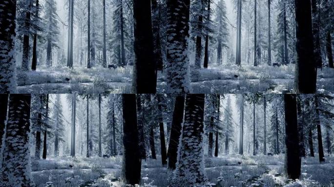 冬季森林的3D可视化。清晨，美丽的冬季森林景观全景