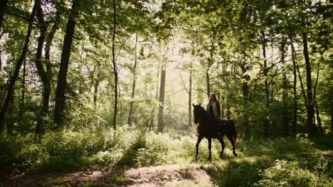 SLO MO女人骑着马在一条泥泞的道路上穿越阳光充足的森林