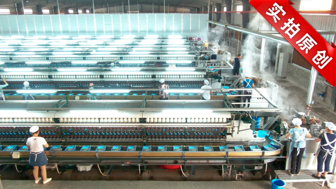 蚕茧蚕丝现代化缫丝车间蚕丝制作流程