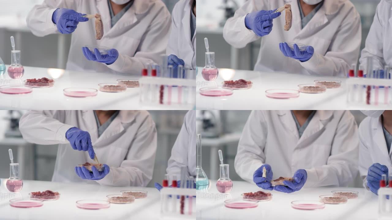 科学家正在检查人造和常规肉类样品