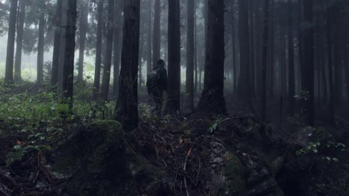 男子在雨中带着雾在森林中行走