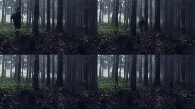 男子在雨中带着雾在森林中行走
