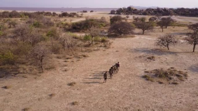 空中。由于气候变化，哈扎 (Hadza) 狩猎采集者部落成员在干旱的景观中用弓箭狩猎。坦桑尼亚