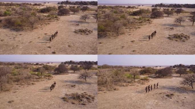 空中。由于气候变化，哈扎 (Hadza) 狩猎采集者部落成员在干旱的景观中用弓箭狩猎。坦桑尼亚