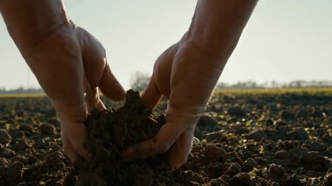 SLO MO POV农民的手检查土壤