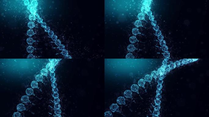 4 k DNA背景
