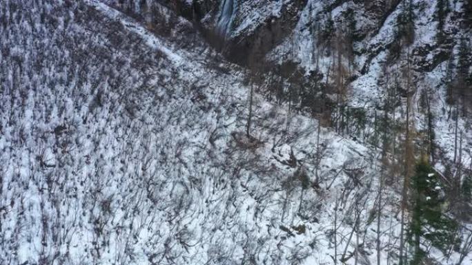 瀑布在冰雪中顽强地流淌