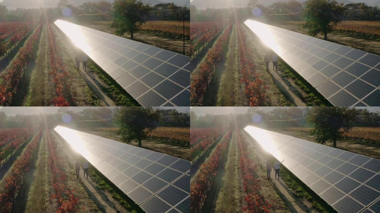 太阳能电池板，可再生能源和野外日落景观，用于光，环境和电力。技术和工程用太阳能实现可持续性、未来和创