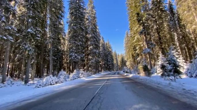 在积雪覆盖的森林中的冬季道路上行驶
