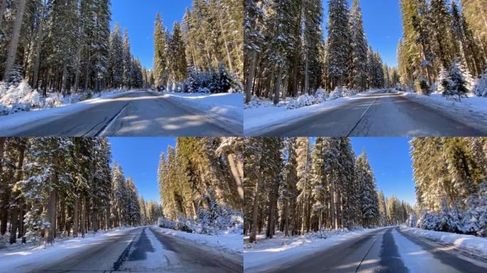 在积雪覆盖的森林中的冬季道路上行驶