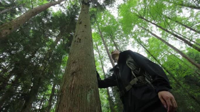 男子在野生森林徒步旅行，触摸树枝