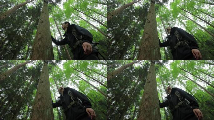 男子在野生森林徒步旅行，触摸树枝