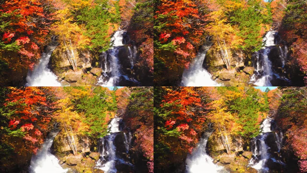 秋天森林中的瀑布邱静河流枫叶