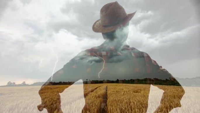 T/L
在暴风雨中抵抗麦田的农民的剪影