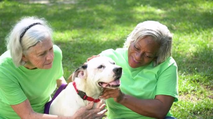 两名与狗一起在动物收容所的高级女性志愿者