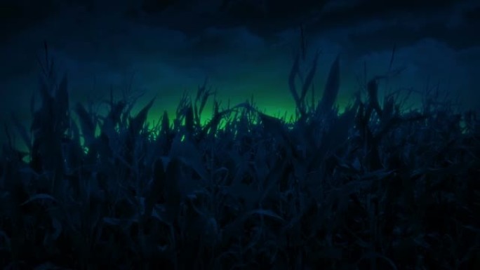 不明飞行物在晚上的玉米地上发光
