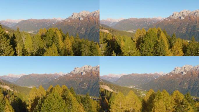 空中: 飞越五颜六色的森林，揭示了多洛米蒂风景如画的山谷。