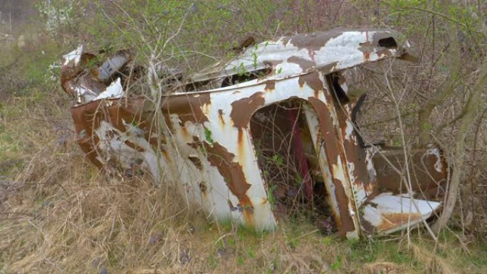 特写: 破旧的复古汽车残骸在乡下恶化。