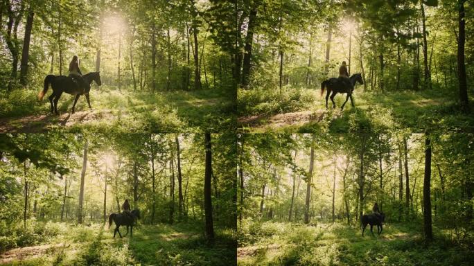 SLO MO女人骑着马穿过阳光明媚的森林